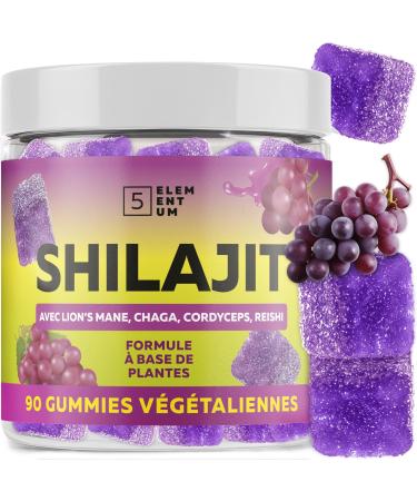 5 elementum Shilajit Original Shilajit Rubbers 2200mg - Premium Quality Shilajit Rubber with Lion's Mane Reishi Chaga & Cordyceps - Himalayan Shilajit for Energy & Energy