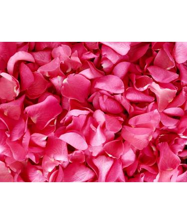 Greenendoor Body Creme Heart Rose Blossom 80g - Natural Solid Body Butter for Dry Skin with Organic Shea & Cocoa Butter | Cruelty-Free Skincare Gifts - Buy Online on GoSupps.com