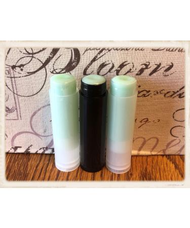 20 MINT CHOCOLATE CHIP Flavored Lip Balms in Clear or Black Tubes Wholesale Bulk Prefilled Aqua Green (Black Tubes)