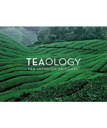 Teaology Peach Tea Hydra Cream 50 ml I Moisturising Care I Day Cream and Night Cream I Natural Cosmetics I Vegan - Buy Online on GoSupps.com