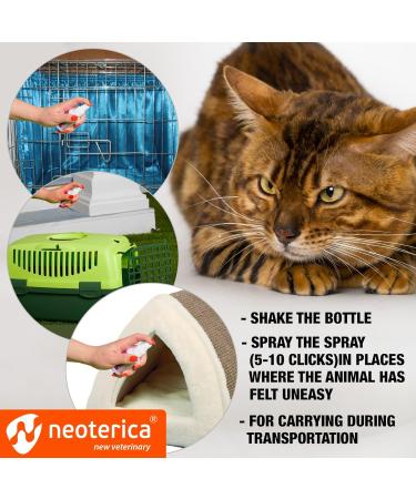 Beloved Pets Calming Pheromone Spray & Scratch Repellent for Cats - Reduce Scratching Furniture Pee - During Travel Fireworks Thunder Vet Zone - Helps to Relief Stress Fighting Hiding - Buy Online on GoSupps.com