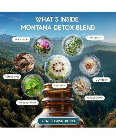 HerbEra Montana Herbal Detox Blend - USDA Organic Extract Made in USA | Immune & Liver Support Liquid Drops | Ashwagandha Dandelion Root Milk Thistle Noni Sarsaparilla | 2 fl oz - Buy Online on GoSupps.com