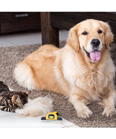 DakPets Pet Deshedding Tool | Professional Cat and Dog Brush for Shedding | Stainless Steel Fur Remover for Pet Grooming - Buy Online on GoSupps.com