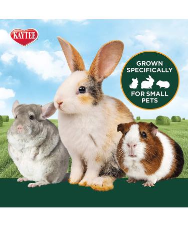 Kaytee Timothy Wafer-Cut Hay for Rabbits & Small Animals - 3.75 Pound Pack - Buy Online on GoSupps.com