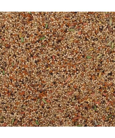 Living World Premium Mix For Budgies 908 g (2 lb) 908 g (Pack of 1) Budgie - Buy Online on GoSupps.com