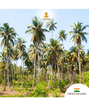 Buy Snadi Organic Coconut Milk Powder - 1kg 100% Natural from Sri Lanka | Dypack Kraft Paper | No Additives or Preservatives | Perfect for Shakes Curries & Vegan Recipes - Buy Online on GoSupps.com