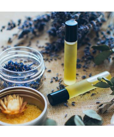 Cinnamon Perfume Oil - 0.3 Oz Roll-On Fragrance | Long-Lasting Scent with Essential Oils & Jojoba Oil | Ideal for Daily Use - Buy Online on GoSupps.com