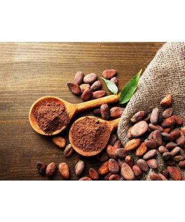 Wellness Cacao Powder Regenerative Natural Certified Non-GMO Baking Cocoa Powder Experience the Pure Indulgence of 100% Natural Perfect for Keto and Paleo Diet Fair Trade Natural Unsweetened Cacao Powder Gluten-Free 907 gr - 2 lb' - Buy Online on GoSupps.com