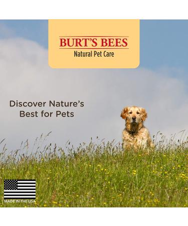 Burt's Bees Natural Hypoallergenic Dog Shampoo with Shea Butter and Honey - 16oz | For All Dogs and Puppies with Dry or Sensitive Skin | Made in USA - Buy Online on GoSupps.com