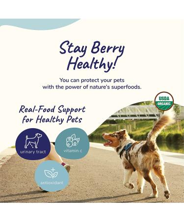 Kin+Kind Raw BerryBoost Superfood for Urinary Health - 4 oz (113.4 g) - Buy Online on GoSupps.com