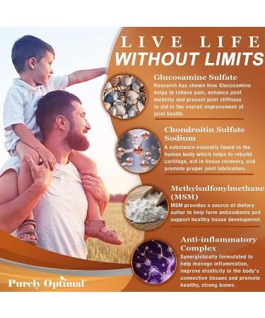Premium Glucosamine Chondroitin MSM Supplement - 120 Capsules | PURELY OPTIMAL - Buy Online on GoSupps.com