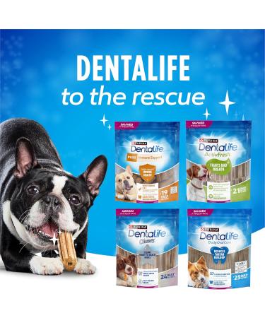 DentaLife Daily Oral Care Dog Treats for Mini Breed Dogs - 193 g Pouch (1 Pack) 193 g (Pack of 1) - Buy Online on GoSupps.com