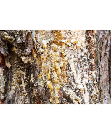 Georgia Premium Pine Rosin 1lb - Tree Resin for Beeswax Wraps & Hand Grip Enhancer for Sports & Rodeo - Buy Online on GoSupps.com