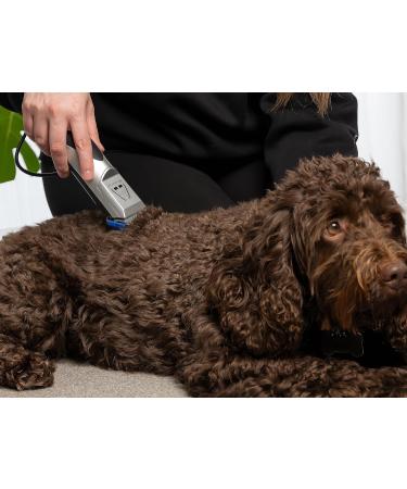 Masterclip Dog Clippers for Cockapoo Cavapoo Cavachon Labradoodle & Poodle. Mains Powered Dog Clippers with #10 & 3mm 6mm 10mm 13mm Comb Guides - Buy Online on GoSupps.com