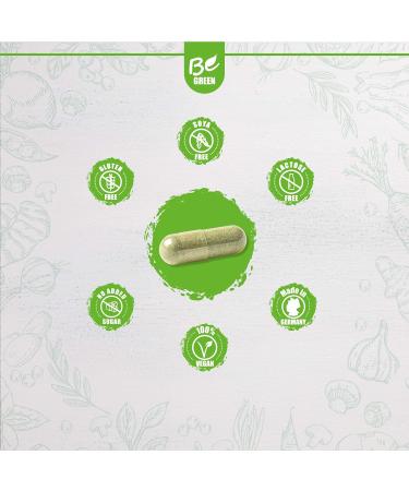 Buy Begreen Creatin - Pure Vegan Creatine Monohydrate in 100% Vegan Capsules | No Artificial Additives | Laboratory Tested Quality | Made in Germany - Buy Online on GoSupps.com