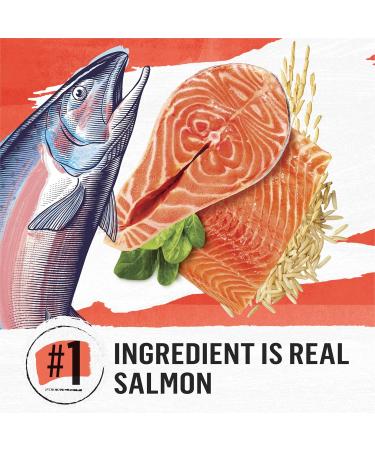 Beyond Simply Natural Dry Cat Food Salmon & Whole Brown Rice - 2.72 kg Bag 2.72 kg (Pack of 1) - Buy Online on GoSupps.com