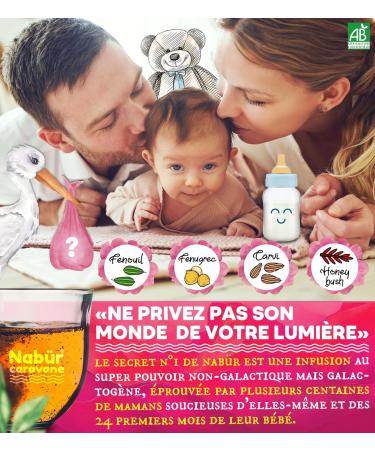  Nab r Nab r - Secret Breastfeeding Herbal Tea N 1 BIO 250 Gr Booster 4-in-1 Herbal Tea Fennel Caraway Fenugreek Honeybush Colic Lactation 0% theine +125 Cups - Buy Online on GoSupps.com