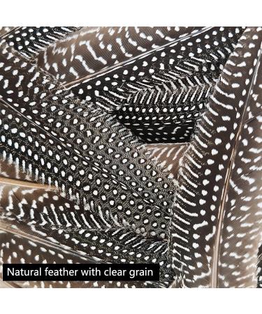 30Pcs Natural Turkey Spotted Feathers for DIY Crafts and Decor - 6-8 inch (3 Styles) - Buy Online on GoSupps.com