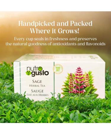 NutroGusto Tea Sage 35 g - Buy Online on GoSupps.com