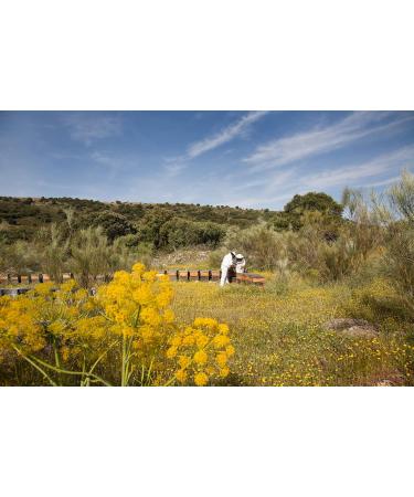 Mielinizate Rosemary Honey 130g - Buy Online on GoSupps.com