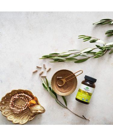 ORGANIC INDIA Amalaki Herbal Vitamin Supplement - Immune Support, Vitamin C, Vegan, Gluten-Free, Kosher, Ayurvedic, Antioxidant - 90 Capsules, USDA Certified Organic, Non-GMO - Buy Online on GoSupps.com