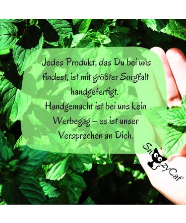 SNOOZYCAT Catnip for Cat Pillow to Fill 30g Loose Mint Natural Cut Scent - Buy Online on GoSupps.com