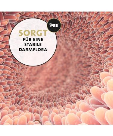 Peticare Detox-Mix Powder for Horses | Supports Liver Kidney & Intestinal Health | Natural Detoxification with Vegetables MSM & Vitamin B6 | Pethorse Health 400g - Buy Online on GoSupps.com