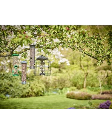 Gardman Whole Peanuts - Pack of 1 (1 x 12.7 kg) - Buy Online on GoSupps.com