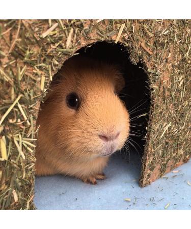 Rosewood Naturals Carrot Cottage Hamster House X 2 Medium twin pack Hamster House - Buy Online on GoSupps.com