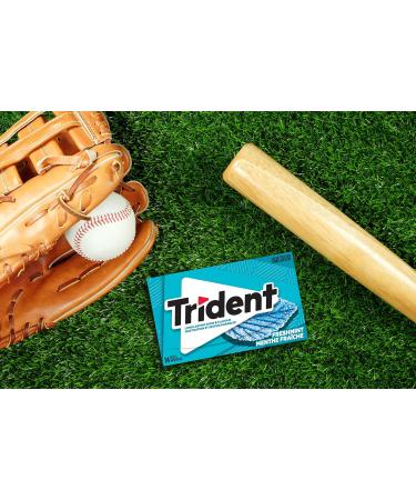 Trident Sugar-Free Gum Slab Freshmint Gum 12 Count Freshmint 168 count (Pack of 1) - Buy Online on GoSupps.com