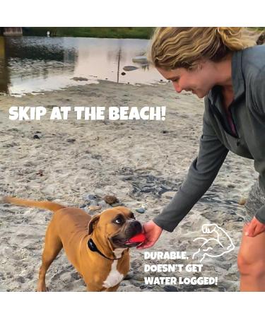Skip NN' Fetch Small/Medium Floating Dog Toys Qty 2 | Stone Skipping Meets Fetch | Fun for Swimming Pool Lake Beach and Land | Perfect Floating Water Toys for Small/Medium Dogs | S/M - Buy Online on GoSupps.com