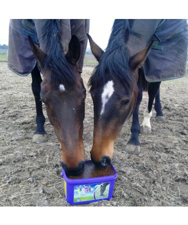 Likit Paddock 8kg | Horse Lick with Essential Vitamins & Minerals | Added Benefit of Garlic Yeast & Oils | 8kg - Buy Online on GoSupps.com