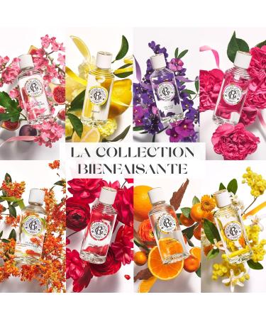 Roger and Gallet C drat Hand Cream 30ml - Buy Online on GoSupps.com