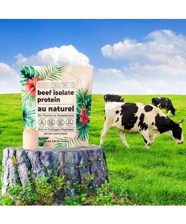 Santa Cruz Paleo Beef Isolate Protein Powder - Gluten Free Keto Sugar Free 20g Protein Collagen Rich Grass Fed - Low Calorie & Clean Ingredients (0.92 Lbs - Buy Online on GoSupps.com
