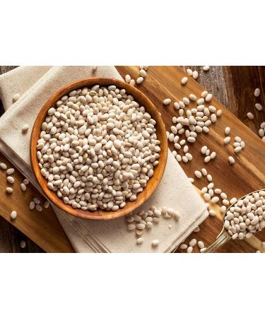 Navy Beans  2 Pounds  Non-GMO Verified  Raw  Dried  Vegan  Kosher  Whole Small White Kidney Beans in Bulk  Good Source of Protein  Fiber  Folate  and Copper. Low Sodium. Great for Cooking and Soups - Buy Online on GoSupps.com