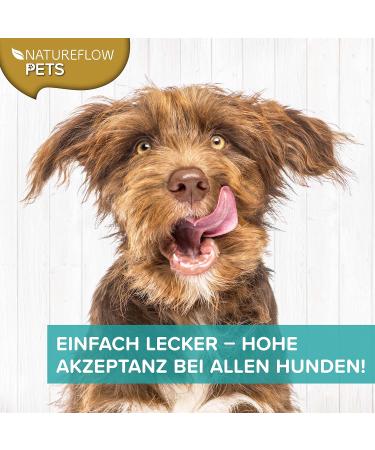 Gr nlippmussel Dog Supplement - 250g Natural Green Lip Powder for Joint Support - Test Winner for Dogs - High Acceptance Green Lip Shell Powder - Buy Online on GoSupps.com