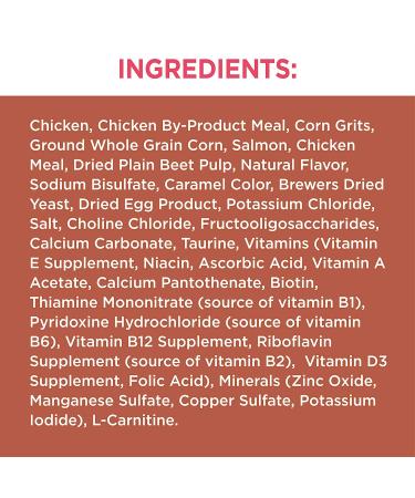 IAMS High Protein Chicken & Salmon Dry Cat Kibble - 6 lb (1 Pack) - Buy Online on GoSupps.com