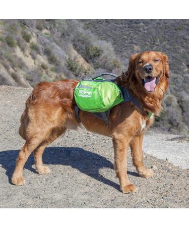 Outward Hound DayPak Green Dog Saddleback Backpack Medium Green M (Pack of 1) - Buy Online on GoSupps.com