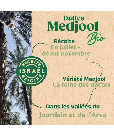 La Favorite - Organic Medjool Dates 250 g - Large Caliber Dates with Stone - Guaranteed Freshness - Fleshy & Melting - Origin - Buy Online on GoSupps.com