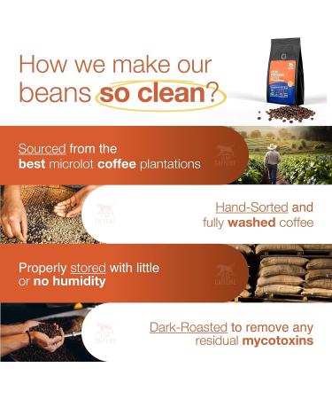 Lean Caffeine Mushroom Decaf Ground Coffee 412g | Mushroom Extract Powder | Lions Mane Reishi Mushroom Cordyceps & Agaricus Blazei Shroom Blend | Bulletproof Mycotoxin Free Coffee 412 g (Pack of 1) - Buy Online on GoSupps.com