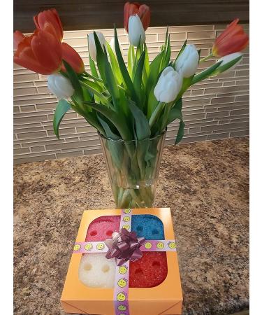 Scrub Daddy Scrub Mommy Gift Pack 4 Count Multipurpose Multicolor Absorbent Dual-Sided Sponges Scratch-Free Odor Stain-Resistant Smiley Face Scrubbers Soft in Hot Water Firm in Cold Water - Buy Online on GoSupps.com