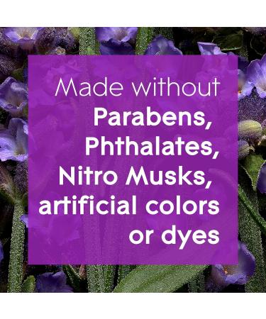 Glade Aromatherapy Essential Oil Diffuser Refill - Lavender & Sandalwood Scent 17.4 ml - Pack of 1 for Home Aromatherapy & Air Freshening - Moment of Zen - Buy Online on GoSupps.com