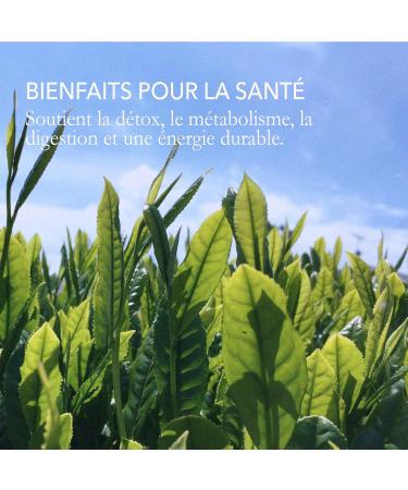 Th Pu Erh de Japanese Green Tea Co. 30 sachets de th vert Th japonais authentique Go t riche et d licieux - Buy Online on GoSupps.com