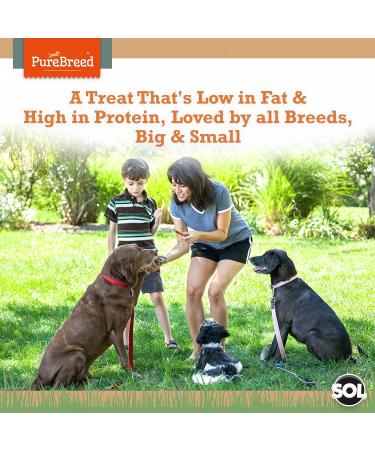 50pk Twist Rawhide Sticks Chicken Dog Treats | Chicken Wrapped Dog Chews Toy | Low Fat High In Protein Chicken Twists for Dogs | Chicken Rawhide Dog Chew | Chewy Twists with Chicken with SOL Sticker Chicken 5 Count (Pack of 10) - Buy Online on GoSupps.com