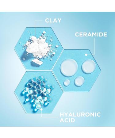 Garnier Gentle Deep Face Cleanser With Hydrating Hyaluronic Acid Protecting Ceramides Purifying Clay Fragrance Free Suitable For Sensitive Skin Pure Active 250ml 250 ml (Pack of 1) Hydrating Gentle Deep Cleanser - Buy Online on GoSupps.com