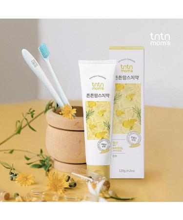 TNTN MOM'S - Pregnancy Toothpaste & Toothbrush Set (5ea) | SLS & Fluoride Free, Grapefruit Scent | Morning Sickness Relief - Buy Online on GoSupps.com