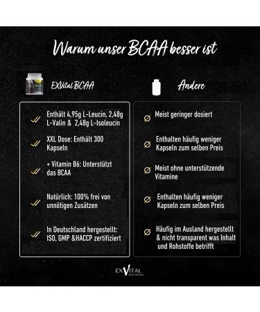 EXVital BCAA 1100 Maximum Caps - 300 High-Quality Amino Acid Capsules with Vitamin B6 | International Shipping Available - Buy Online on GoSupps.com