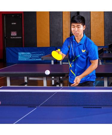 Champion Sports PN5 All-Plastic Table Tennis Racket - Assorted Colors - Buy Online on GoSupps.com