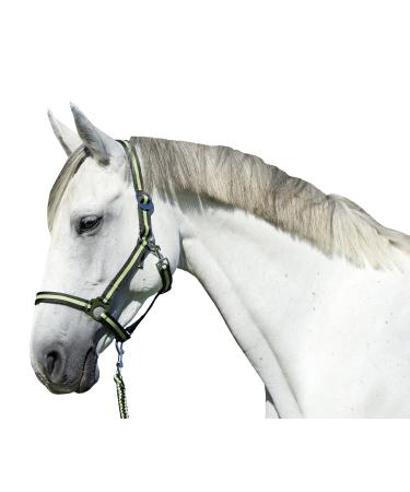 Kerbl Nylon Halter Hippo Nylon Halter for Pony Shetty Full Cob XFull 6 Colors Size 0 anthracite/lemon