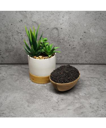 Black Tea Earl Gray UniTea Land 100 Gram 100 Gram - Buy Online on GoSupps.com